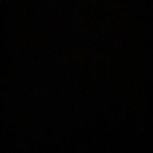 Meet your Posher, Danna